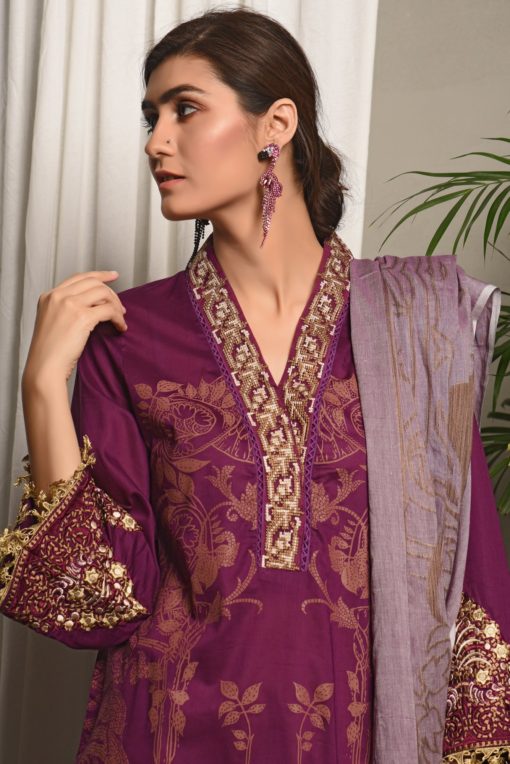 Ethnic Boutique 2pc suit (ET-CK-36) - Image 4