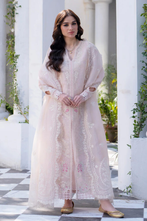 BinSaadShahzad Fall Pret (FARISHA)